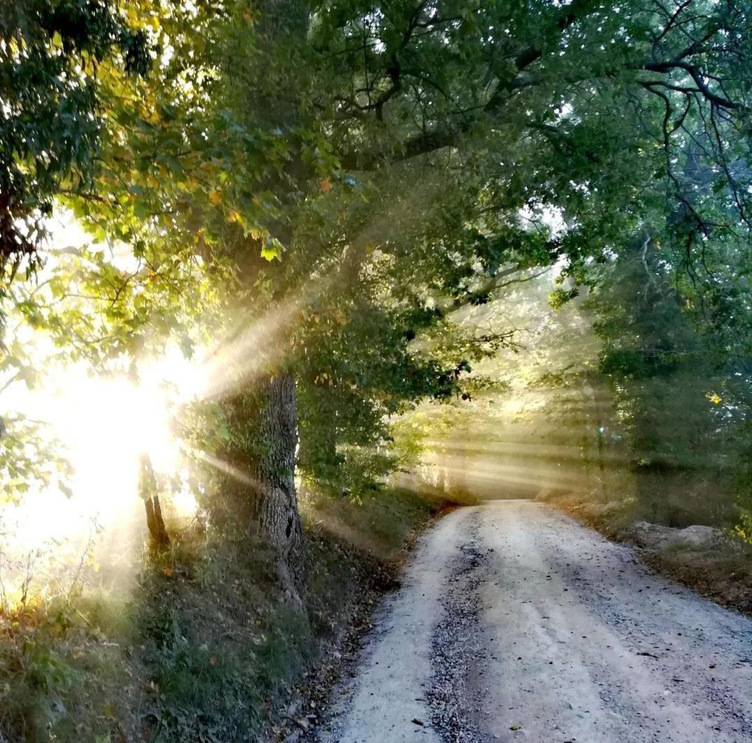 La Quercia Incantata Camerino Bagian luar foto